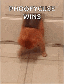 a dog is coming out of a door with the words `` phoofycuse wins '' written on it .