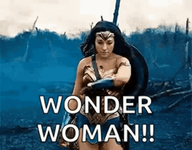 a woman in a wonder woman costume is holding a sword and shield in a field .
