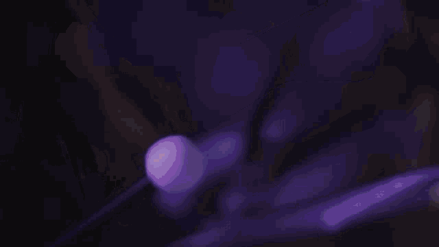 a group of people watching a band on stage with purple lights