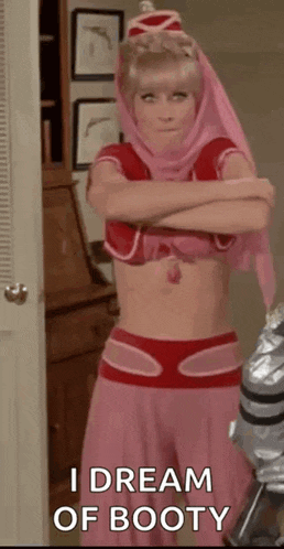 a woman in a pink costume is standing in a room with her arms crossed and says `` i dream of booty ''