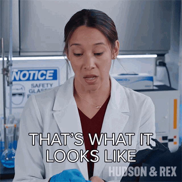 Thats What It Looks Like Sarah Truong GIF - Thats What It Looks Like Sarah Truong Hudson And Rex GIFs