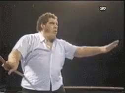 Wait Hold GIF - Wait Hold Andre The Giant GIFs