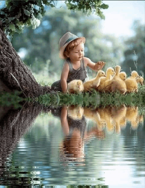a little boy is playing with ducklings near a lake