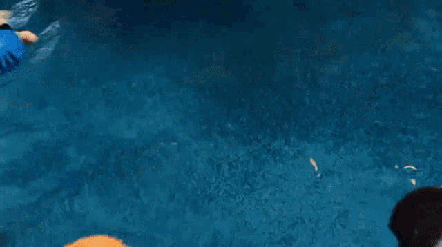 a group of stuffed animals are swimming in a pool .