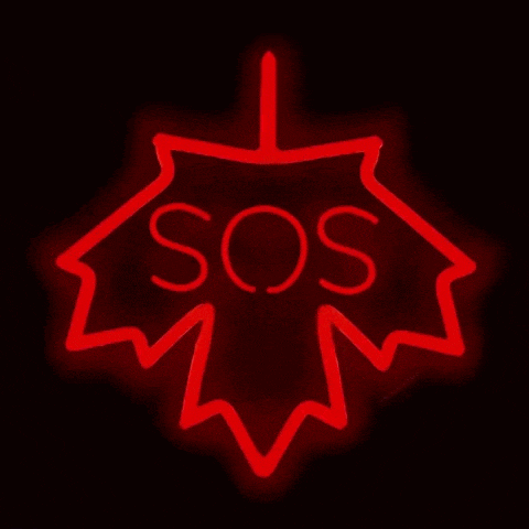 a red maple leaf with the word sos written on it