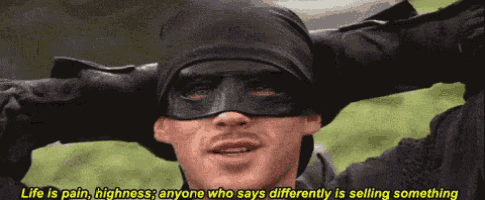 a man wearing a mask says life is pain highness