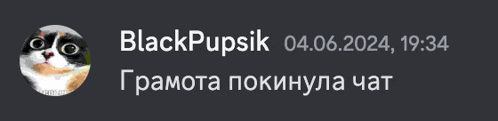 a black background with a picture of a cat and the text blackpupsik 04/06/2024 19:34