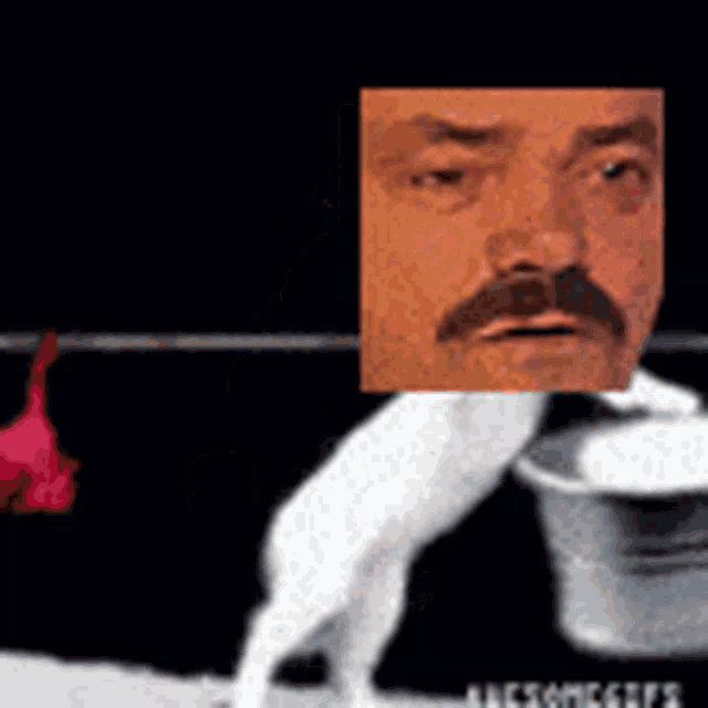 a man with a mustache is standing next to a cat with a hat on