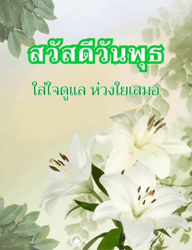 a picture of white flowers with green leaves and the words " สวัสดี วัน พุธ "