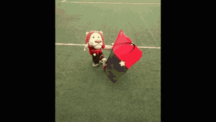 a stuffed lion is holding a red and black flag on a soccer field