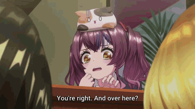 a girl with a cat on her head asks if she is right and over here