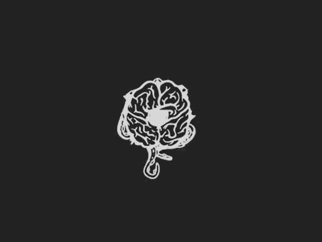 a black and white drawing of an octopus with tentacles and a brain