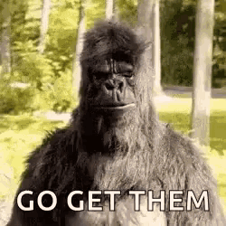 a gorilla is standing in the woods with the words `` go get them '' written on it .