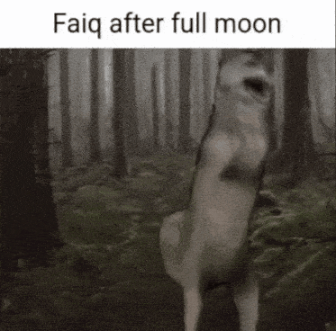 a dog is standing on its hind legs in the woods and the caption says faiq after full moon