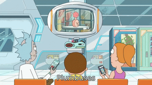 Plumbus Everyone Has A Plumbus In Their Home GIF - Plumbus Everyone Has A Plumbus In Their Home Rick And Morty GIFs