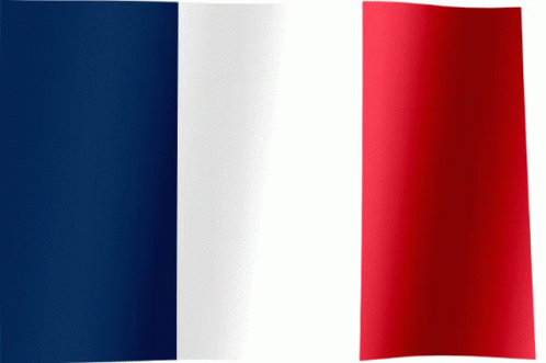 France Flag Of France GIF - France Flag Of France Flag GIFs