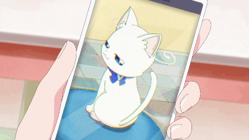 a person holding a cell phone with a picture of a white cat on the screen