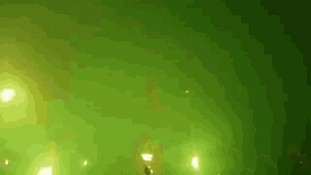 a green background with a few lights visible