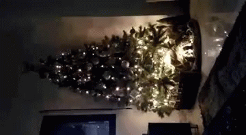 Nour Longday GIF - Nour Longday Christmas Tree GIFs