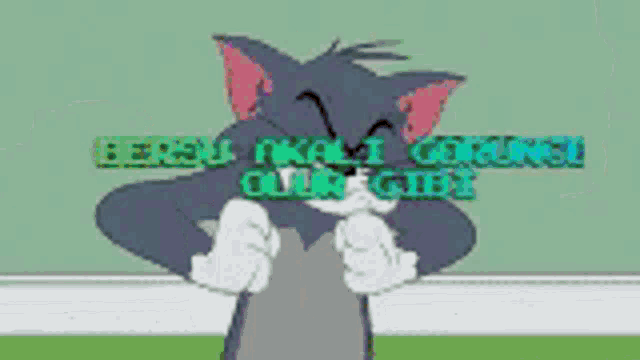 a cartoon cat is standing in front of a green wall with the words ' bersu ' written on it 's face .