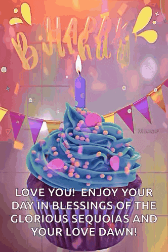 a birthday cupcake with blue frosting and a candle on it