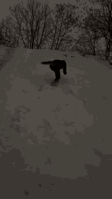 a person is laying in the snow wearing a pair of vans shoes