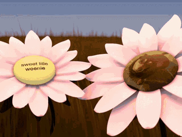 two pink flowers with a yellow center that says sweet little weenie on it