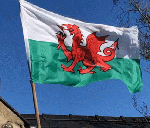 Cymru Wales GIF - Cymru Wales GIFs