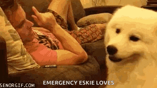 a man is laying on a couch while a dog looks on .