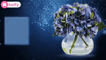purple flowers in a vase with a kolfy logo