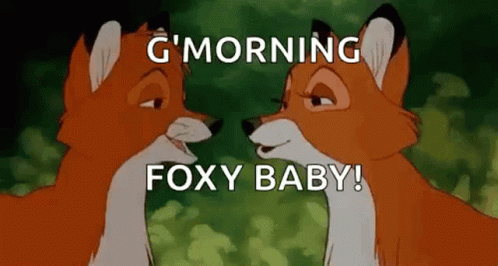 G Morning Foxy Baby Nose To Nose GIF - G Morning Foxy Baby Nose To Nose Cute GIFs