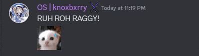 a screenshot of a discord conversation between os and knoxbxrry