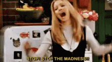 Phoebe Friends GIF - Phoebe Friends Stop The Madness GIFs
