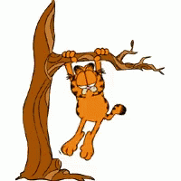 Garfield Hang GIF - Garfield Hang Around GIFs
