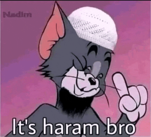 a cartoon cat wearing a white hat is giving the middle finger and saying `` it 's harem bro '' .