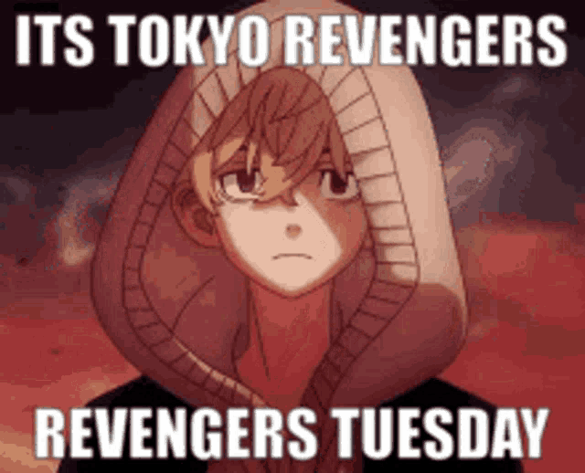a tokyo revengers meme with a hoodie on