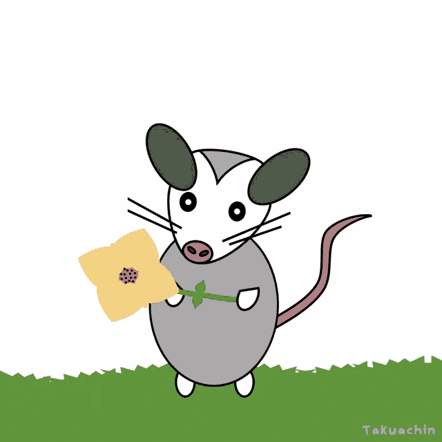 a cartoon of an opossum holding a yellow flower with the name takuachin below it