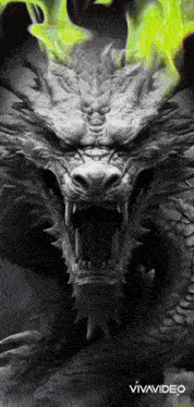 a black and white image of a dragon with its mouth open and the word vivavideo below it