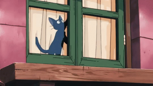 Cat Let Me Out GIF - Cat Let Me Out GIFs