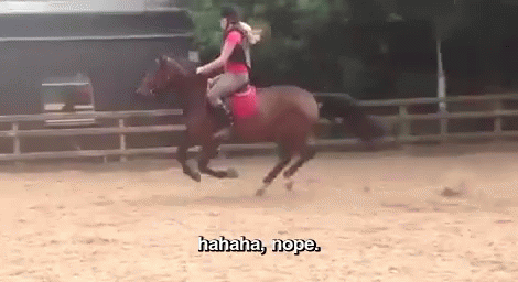 Mean Horse! GIF - Hahahanope Nope Horse GIFs