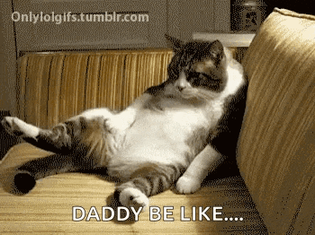 a cat laying on a couch with the words daddy be like