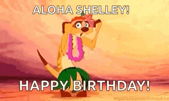 a meerkat from the lion king is wearing a hula skirt and a lei and is dancing .