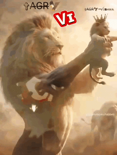 a lion with a crown on its head holds a baby lion in its paws