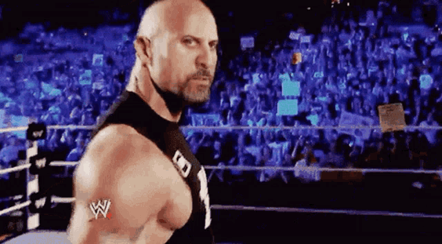 a bald man with a beard is standing in a wrestling ring with a crowd behind him .