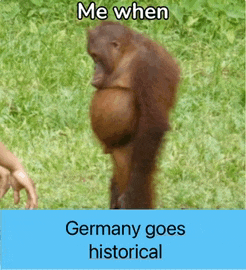 a monkey standing in the grass with a caption that says me when germany goes historical