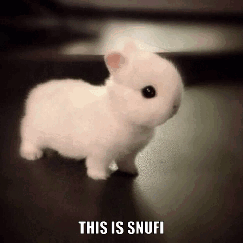 Snufi This Is Snufi GIF - Snufi This Is Snufi Sindi GIFs