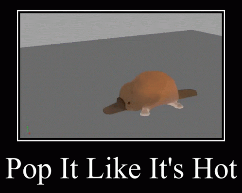Platypus Spin GIF - Platypus Spin Meme GIFs