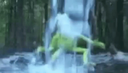 Water Boy Frog GIF - Water Boy Frog GIFs