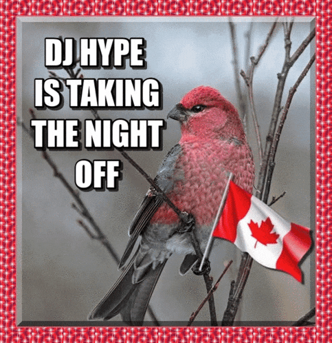 a picture of a bird holding a canadian flag with the words dj hype is taking the night off