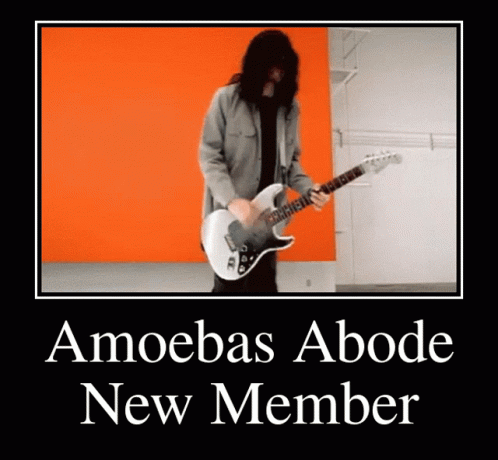 Amoeba Amoebas Abode GIF